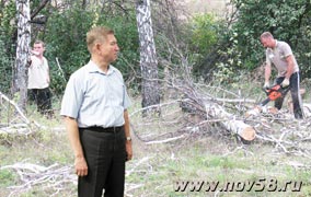 В Камешкирском районе приводят в порядок лесополосы