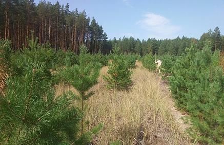 � ���������� ������� ������� ����� ����������� ��������������� �����