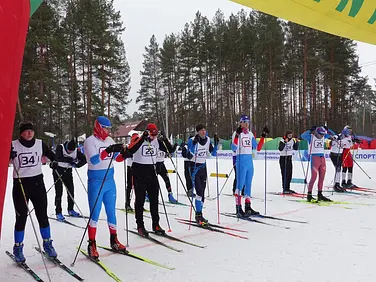 � ��������� ���������� ��������� �������� �� ������ ������ �� ����� �����������