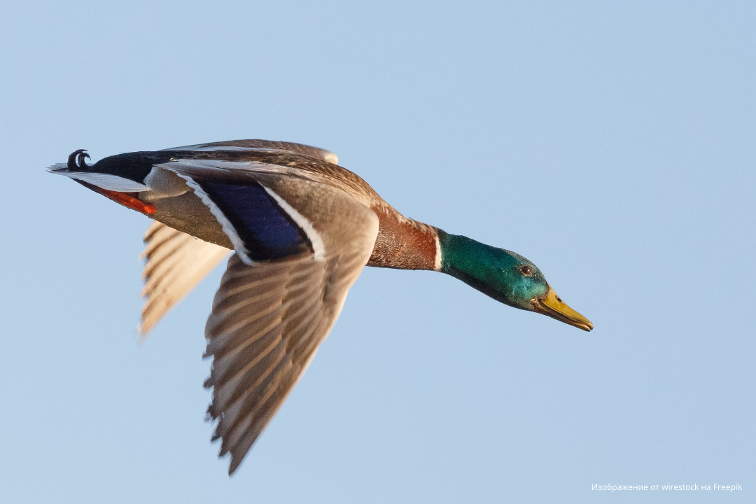 ����� 200 ��������� ������ ���������� �������� ����� ���������