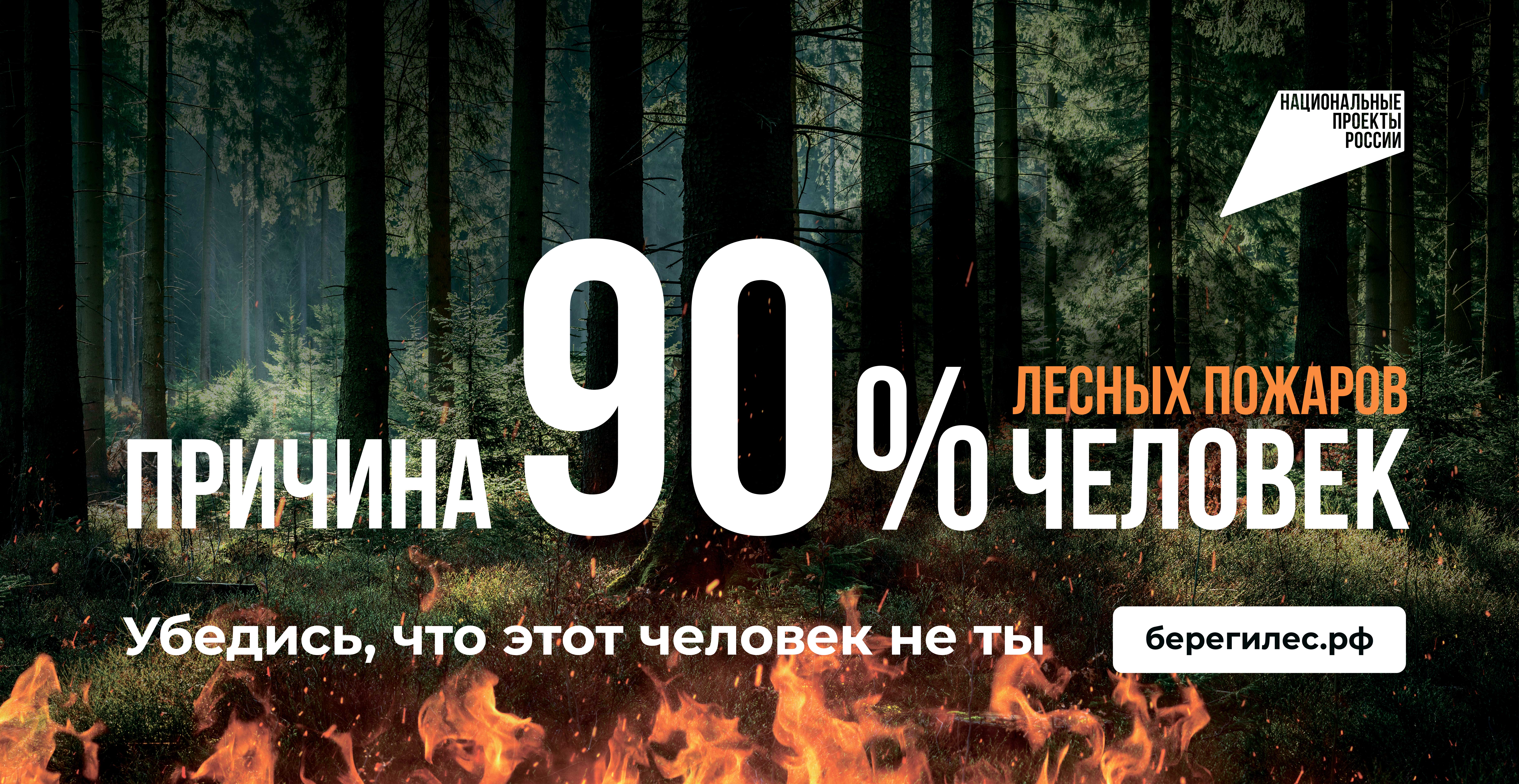 � ������ ���������� &laquo;������������� ������������&raquo; ���� ����� �������� ���������� ������������ � ���������, ���������� � �������������� ������������.